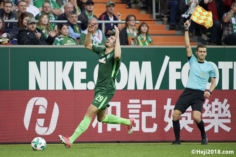 仅展现了他 仅展现了他